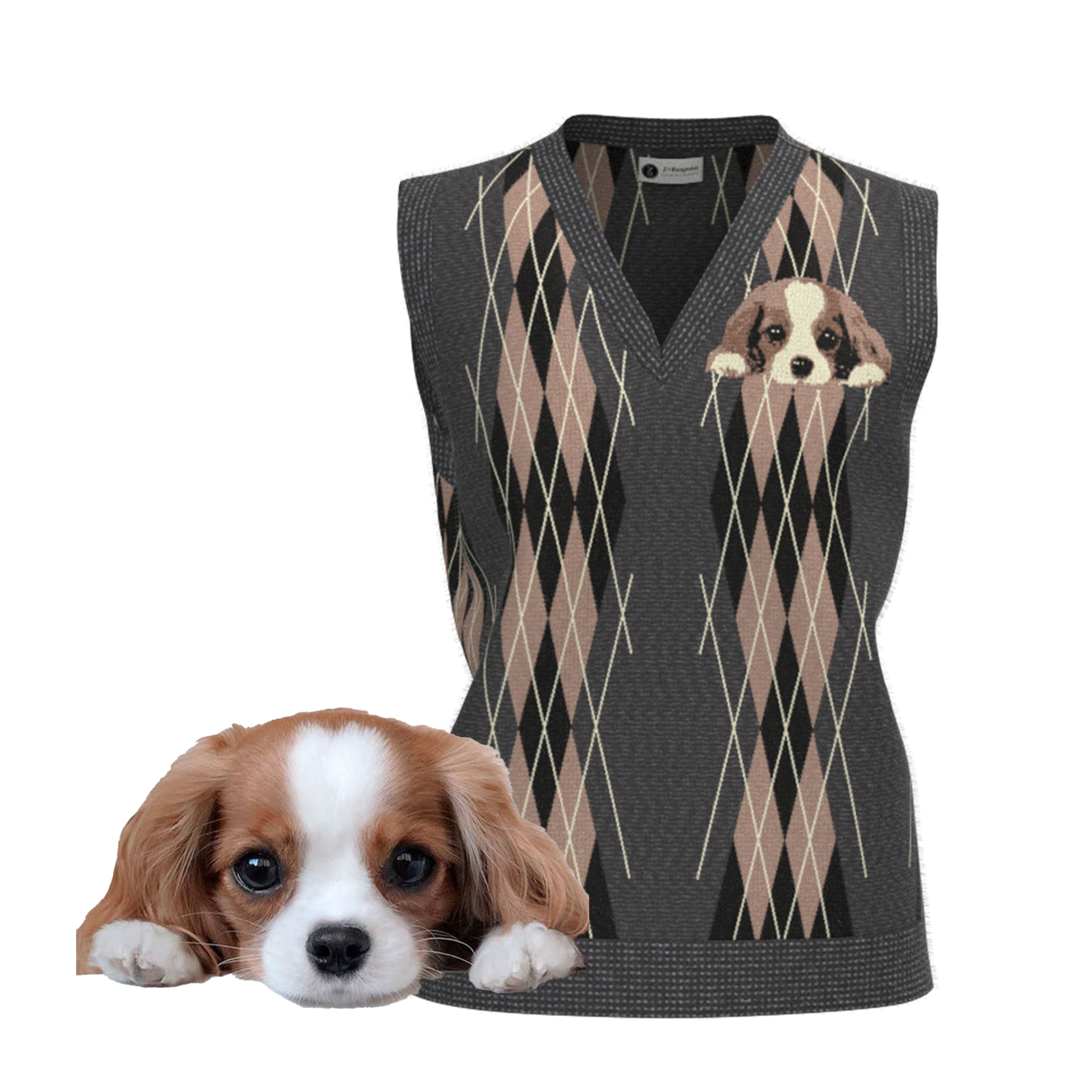 dog13.2500